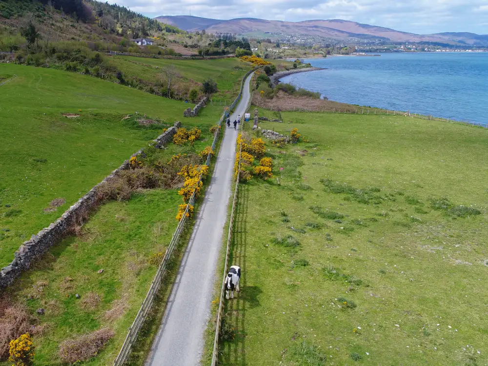 The Carlingford Lough Greenway