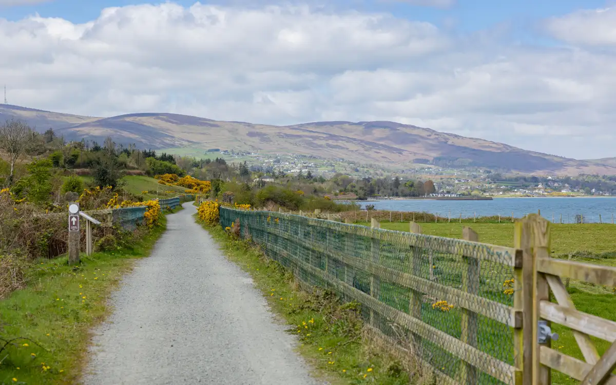 The Carlingford Lough Greenway