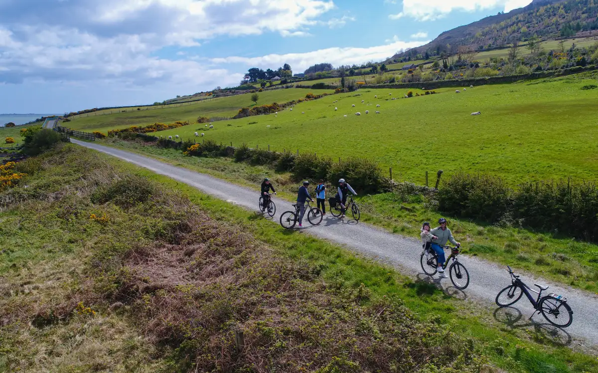 Drone view of Carlingford Greenway